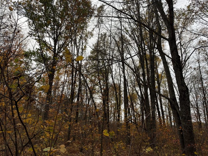 Wood Wi 84 Acres Land For Sale Property7 Jpg