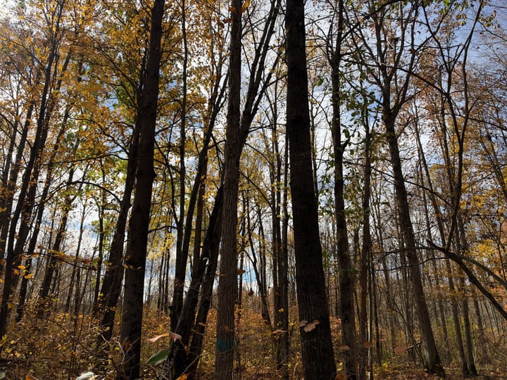 Wood Wi 84 Acres Land For Sale Property22 Jpg