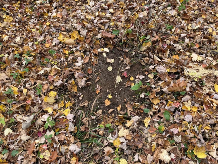 Wood Wi 84 Acres Land For Sale Property8 Jpg