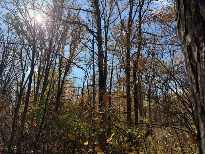 Wood Wi 84 Acres Land For Sale Property24 Jpg