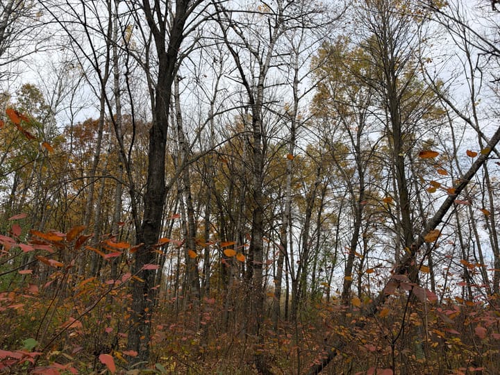 Wood Wi 84 Acres Land For Sale Property6 Jpg