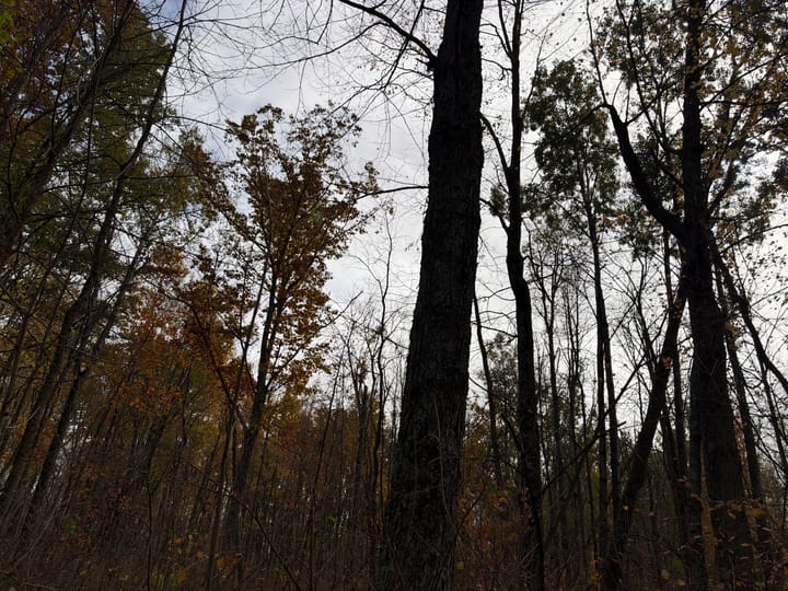 Wood Wi 84 Acres Land For Sale Property14 Jpg