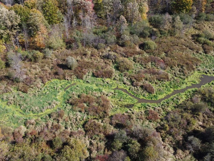 Wood Wi 84 Acres Land For Sale Aerials15 Jpg