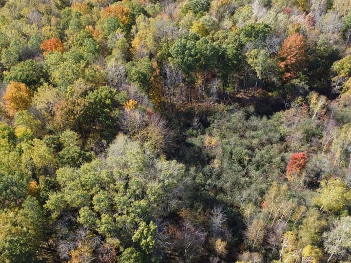 Wood Wi 84 Acres Land For Sale Aerials10 Jpg
