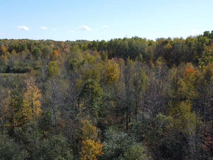 Wood Wi 84 Acres Land For Sale Aerials13 Jpg