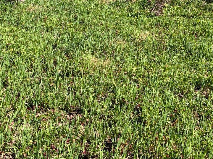 Wood Wi 84 Acres Land For Sale Property26 Jpg