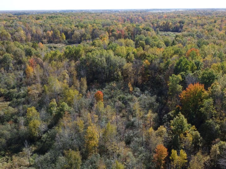 Wood Wi 84 Acres Land For Sale Aerials14 Jpg