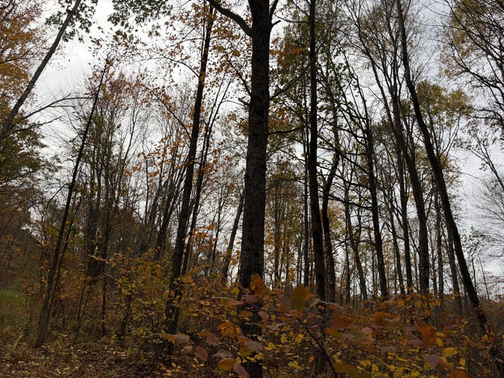 Wood Wi 84 Acres Land For Sale Property9 Jpg