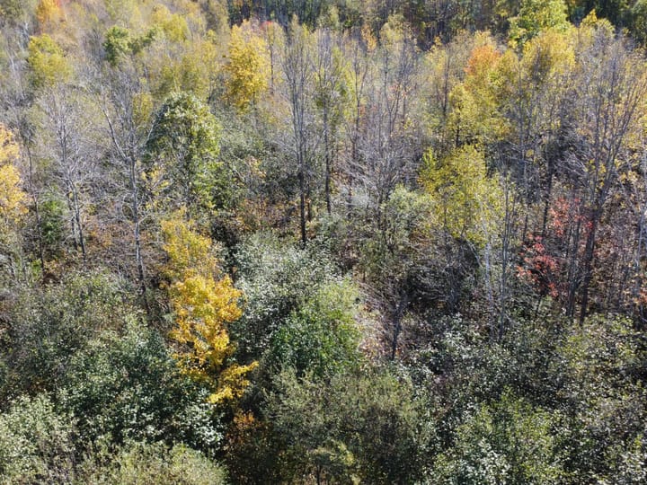 Wood Wi 84 Acres Land For Sale Aerials12 Jpg