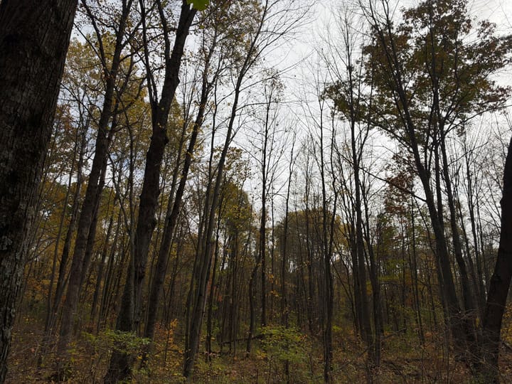 Wood Wi 84 Acres Land For Sale Property20 Jpg