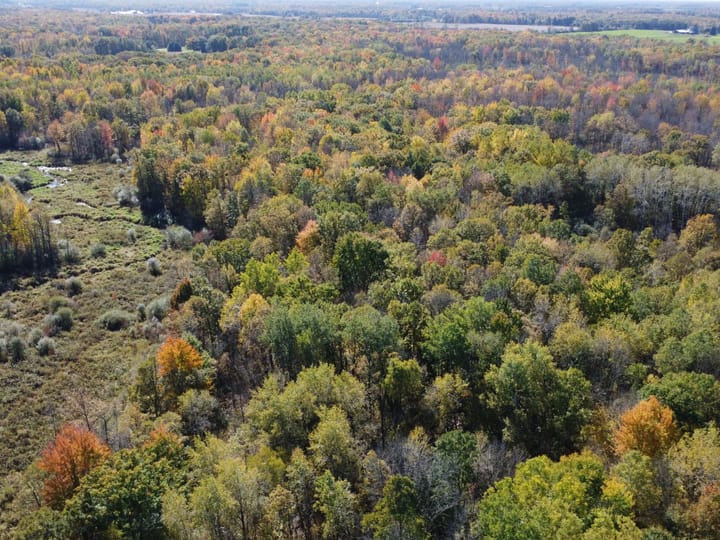 Wood Wi 84 Acres Land For Sale Aerials11 Jpg