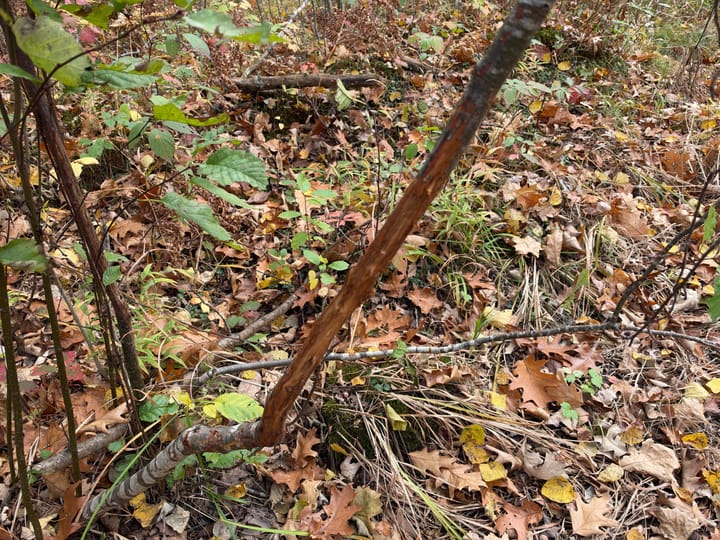 Wood Wi 84 Acres Land For Sale Property11 Jpg