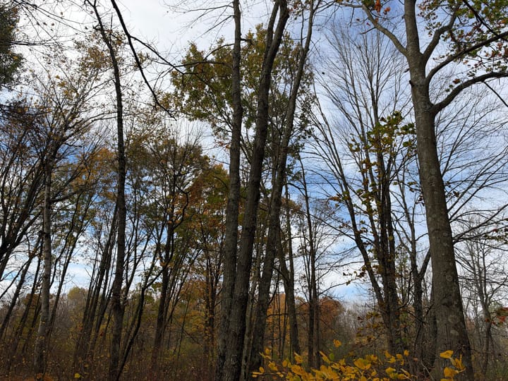 Wood Wi 84 Acres Land For Sale Property21 Jpg