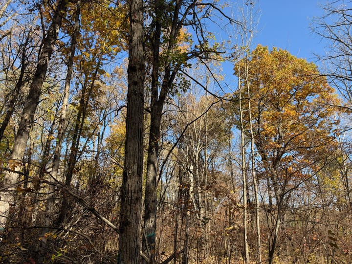 Wood Wi 84 Acres Land For Sale Property23 Jpg