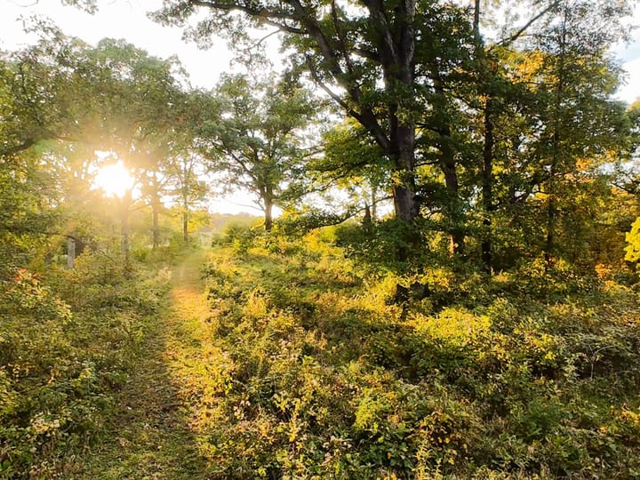 Fulton Il 163 Acres Land For Sale Property23