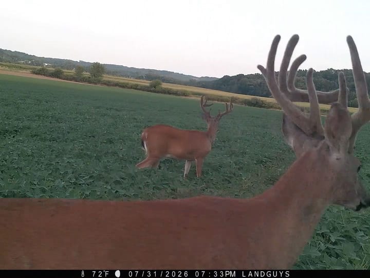 Fulton Il 163 Acres Land For Sale Wildlife11