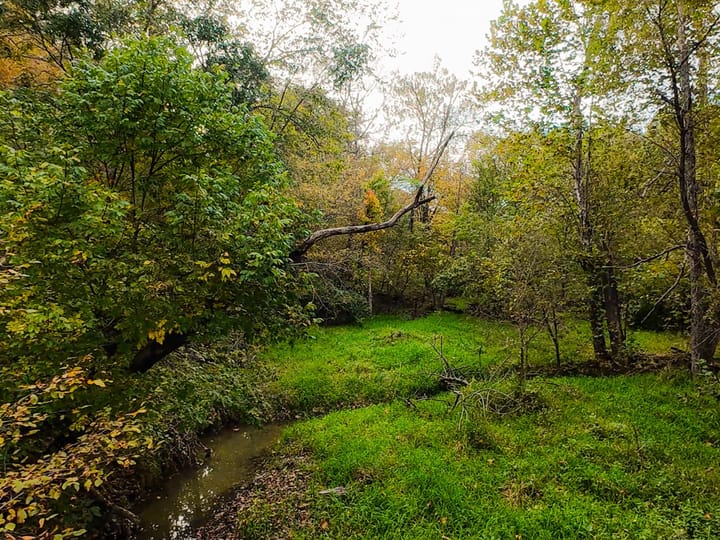 Fulton Il 163 Acres Land For Sale Property7