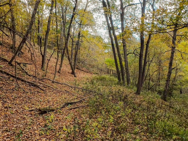 Fulton Il 163 Acres Land For Sale Property16