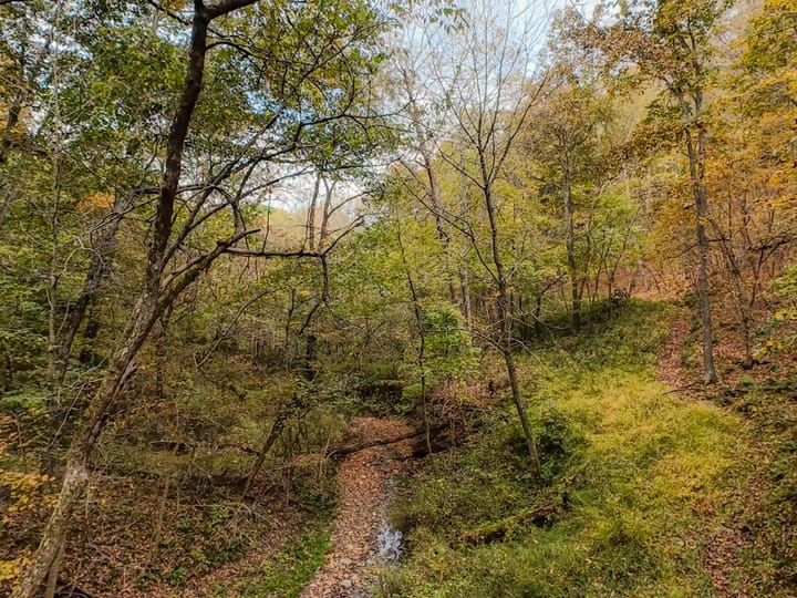 Fulton Il 163 Acres Land For Sale Property18