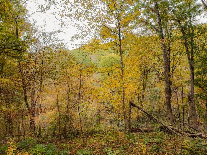 Fulton Il 163 Acres Land For Sale Property11