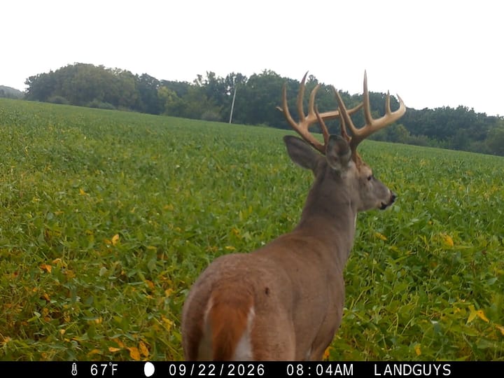 Fulton Il 163 Acres Land For Sale Wildlife23