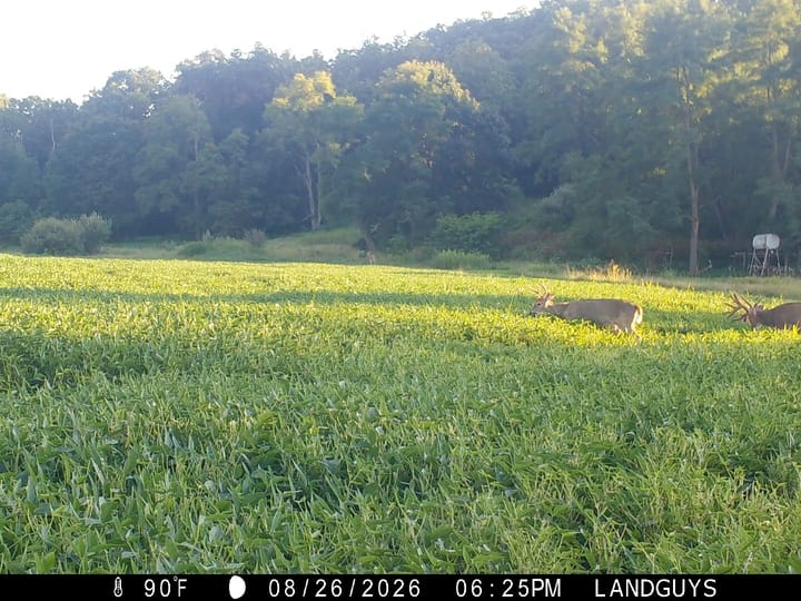 Fulton Il 163 Acres Land For Sale Wildlife24