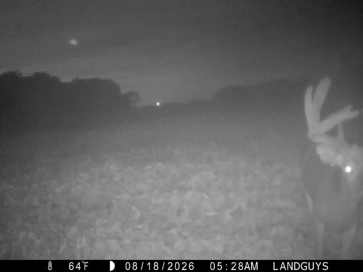 Fulton Il 163 Acres Land For Sale Wildlife5