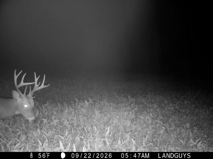Fulton Il 163 Acres Land For Sale Wildlife27