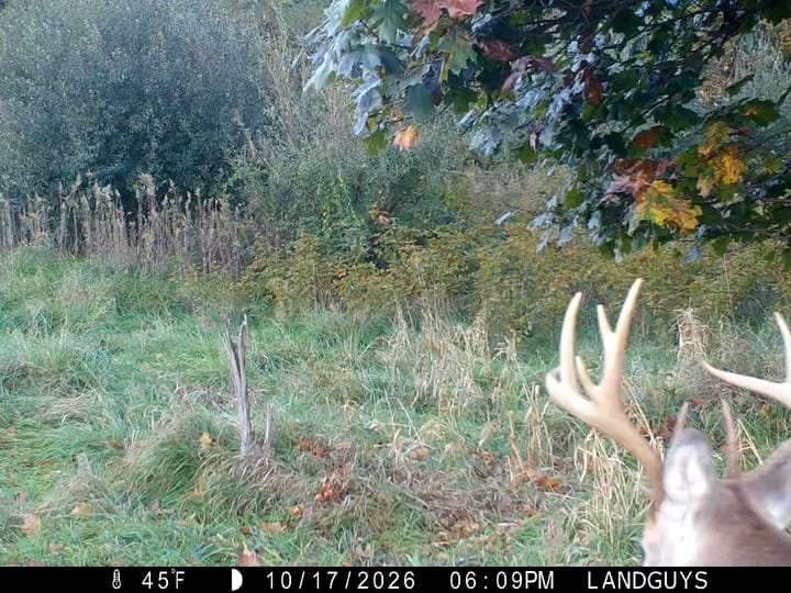 Fulton Il 163 Acres Land For Sale Wildlife17