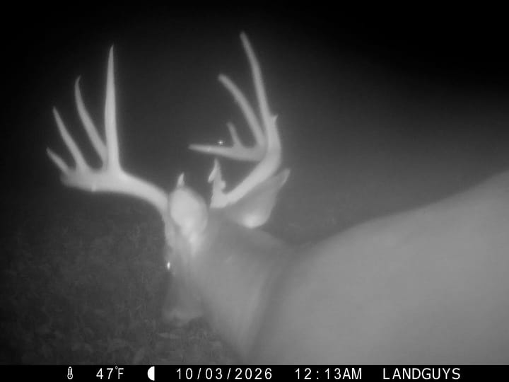 Fulton Il 163 Acres Land For Sale Wildlife25