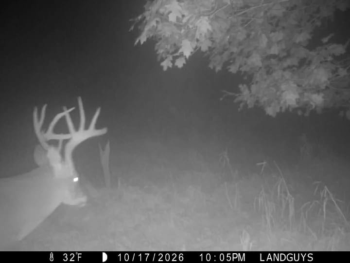 Fulton Il 163 Acres Land For Sale Wildlife18