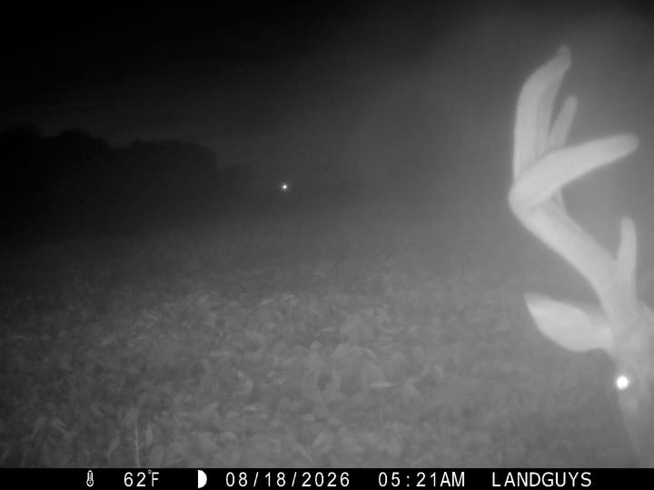 Fulton Il 163 Acres Land For Sale Wildlife3