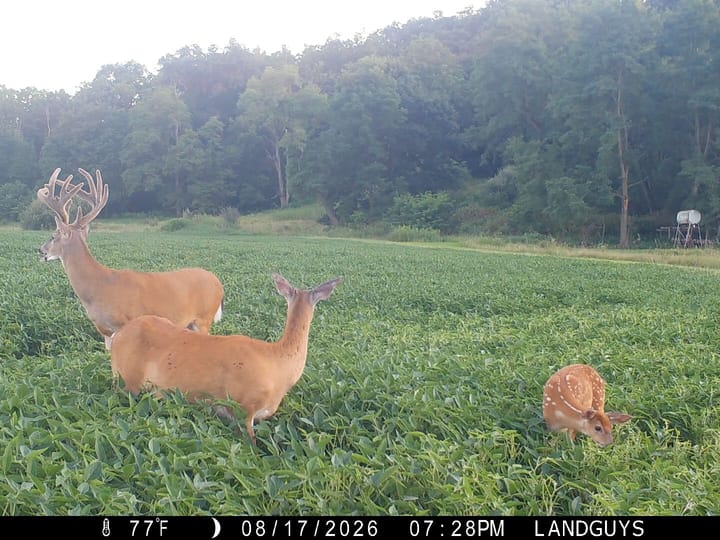 Fulton Il 163 Acres Land For Sale Wildlife20