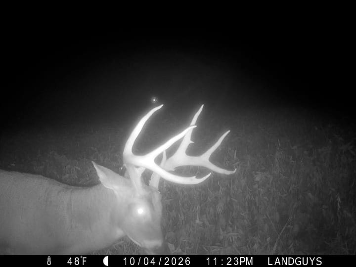 Fulton Il 163 Acres Land For Sale Wildlife26