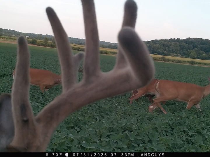 Fulton Il 163 Acres Land For Sale Wildlife10