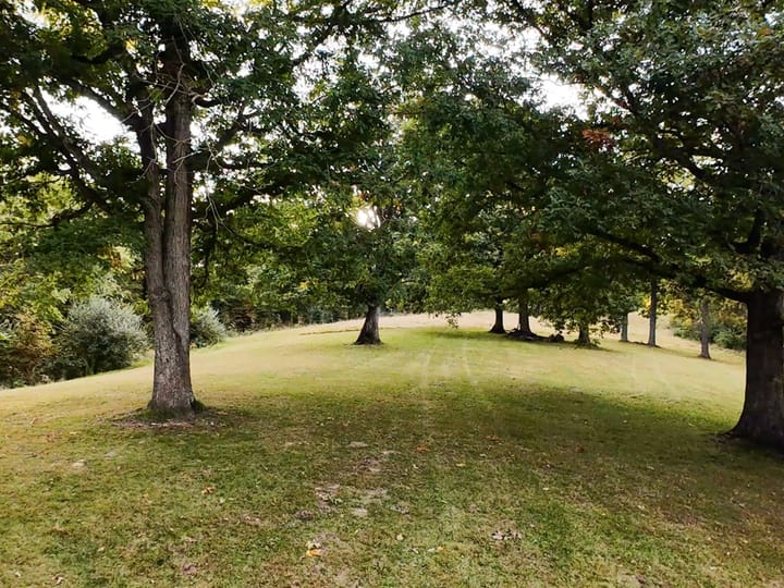 Fulton Il 163 Acres Land For Sale Property21