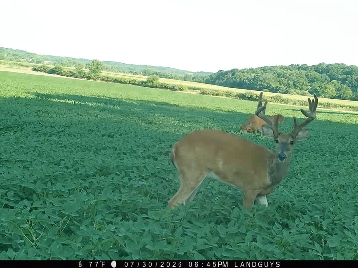Fulton Il 163 Acres Land For Sale Wildlife4