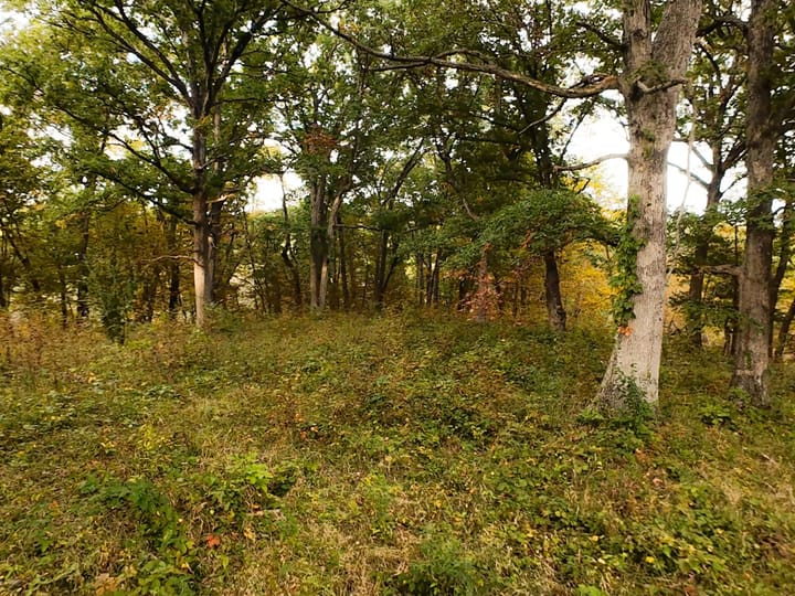 Fulton Il 163 Acres Land For Sale Property10