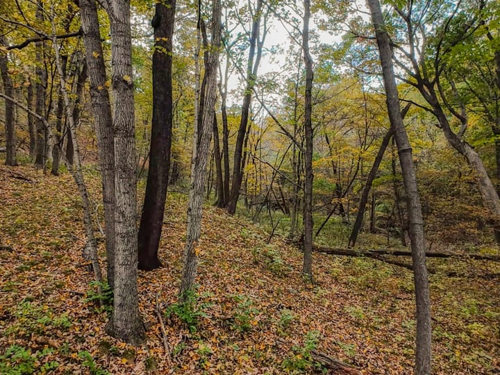 Fulton Il 163 Acres Land For Sale Property14