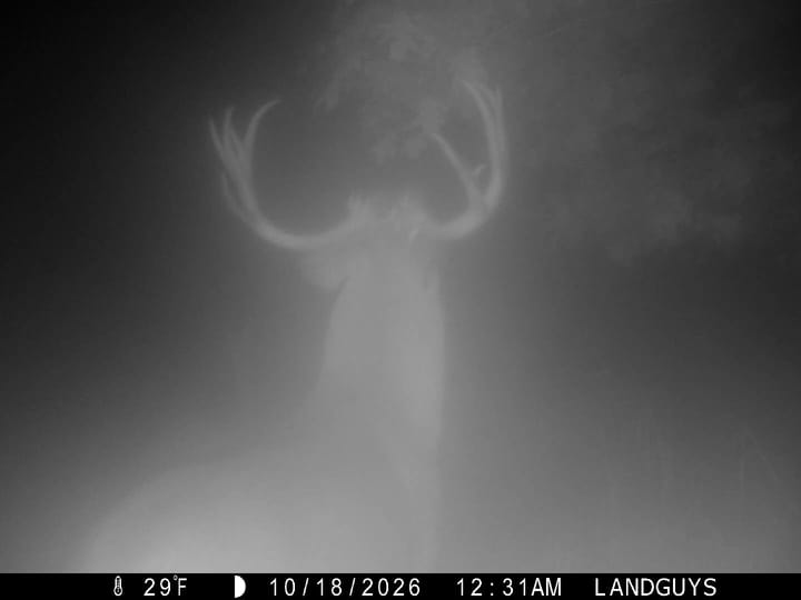 Fulton Il 163 Acres Land For Sale Wildlife19