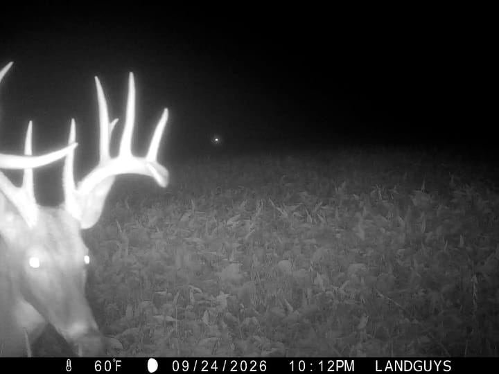 Fulton Il 163 Acres Land For Sale Wildlife21