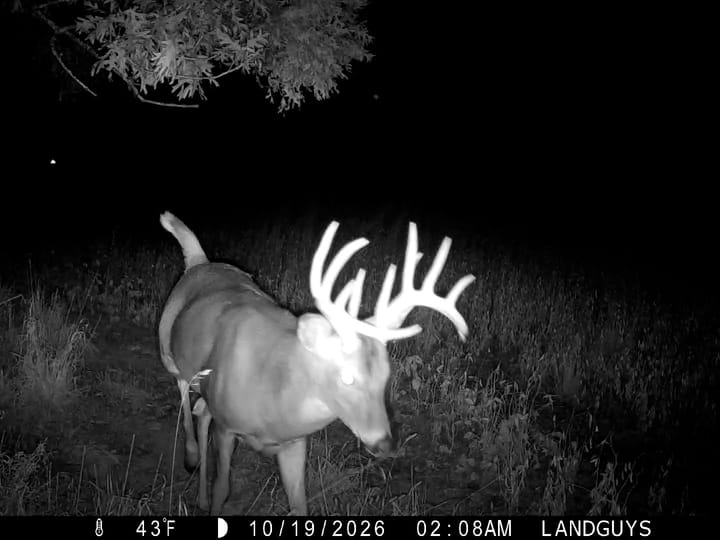 Fulton Il 163 Acres Land For Sale Wildlife12