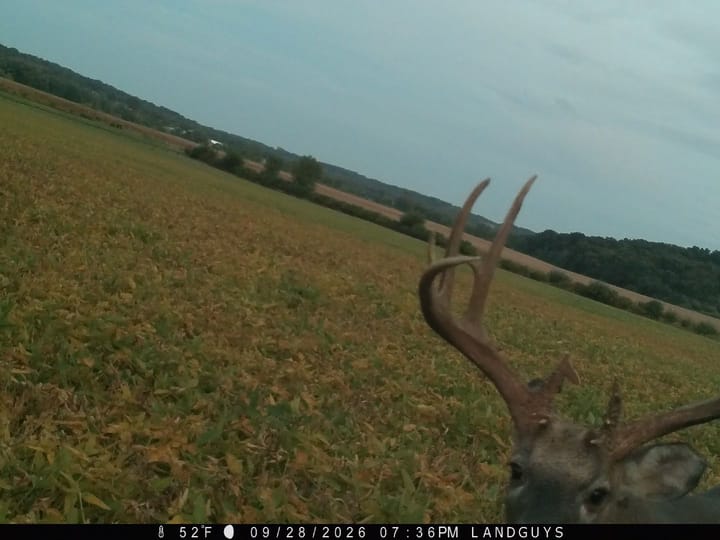 Fulton Il 163 Acres Land For Sale Wildlife14