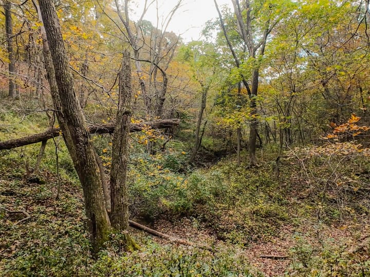 Fulton Il 163 Acres Land For Sale Property15