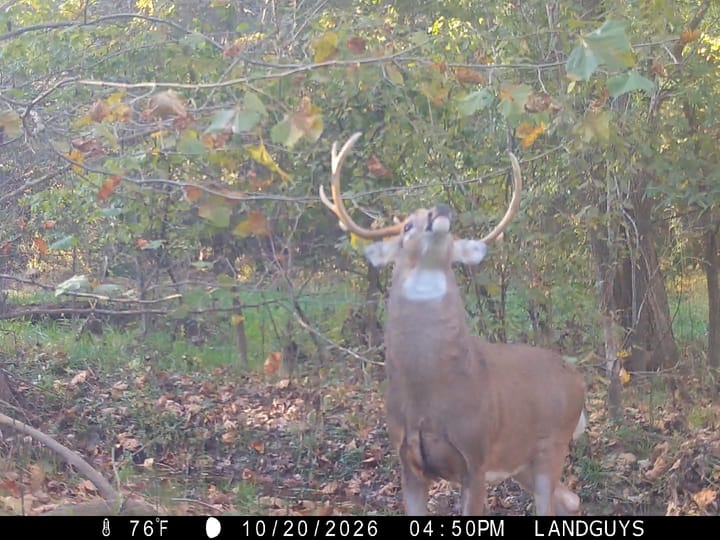 Fulton Il 163 Acres Land For Sale Wildlife9