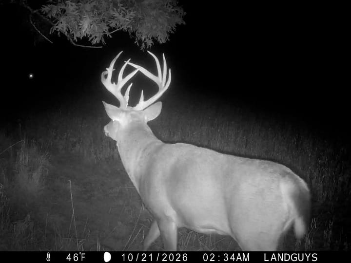 Fulton Il 163 Acres Land For Sale Wildlife13