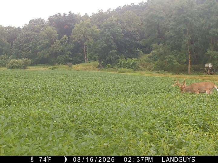 Fulton Il 163 Acres Land For Sale Wildlife16