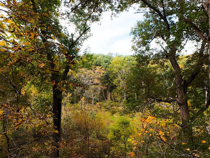 Fulton Il 163 Acres Land For Sale Property5