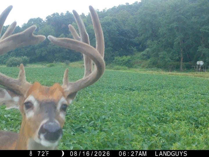 Fulton Il 163 Acres Land For Sale Wildlife15