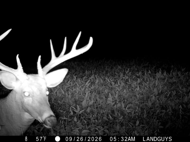 Fulton Il 163 Acres Land For Sale Wildlife22